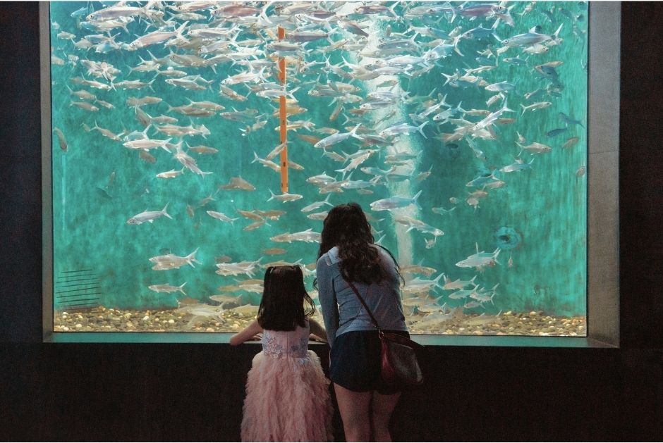 mom and daughter at aquarium viewing fish