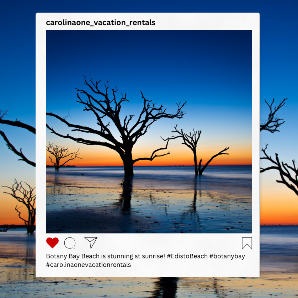 This picture showcases Botany Bay Beach on Edisto Island, with an Instagram post-like picture on top sharing where it is. 